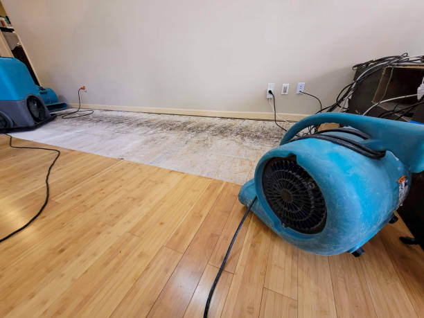 Professional Sewage Cleanup technician working in Bat Cave, NC